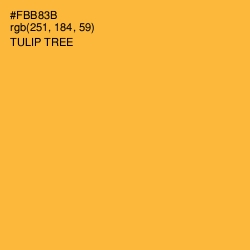 #FBB83B - Tulip Tree Color Image